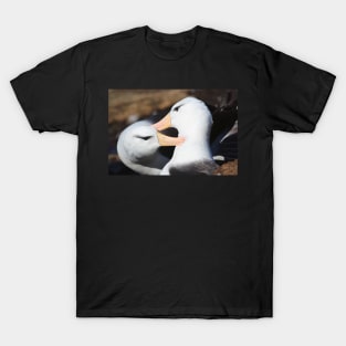 Black-browed Albatross Pair Bonding T-Shirt